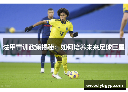 法甲青训政策揭秘：如何培养未来足球巨星